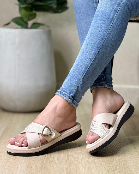 Ref: N100